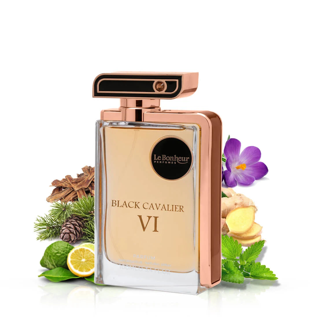 Black Cavalier VI EDP – Bergamote, Gingembre & Cèdre | Parfum Unisexe Boisé