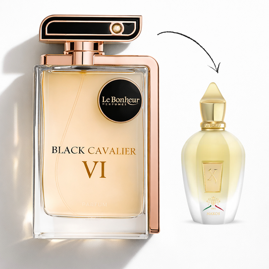 Black Cavalier VI